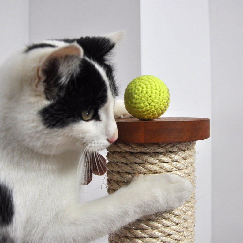 Cat Scratcher. Cat Tower. Cat Scratcher Made of Solid Etsy