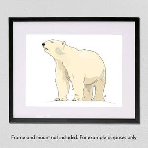 Polar Bear - A4 fine art giclée print