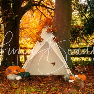 Pompoenen in de herfst Halloween digitale achtergrond