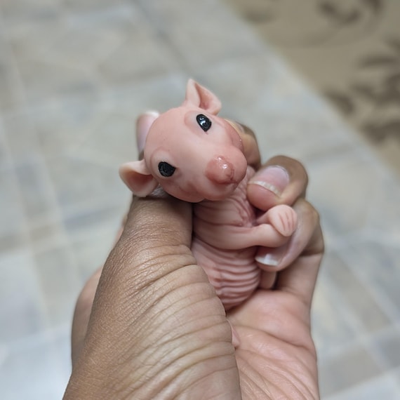 Nakey Rat