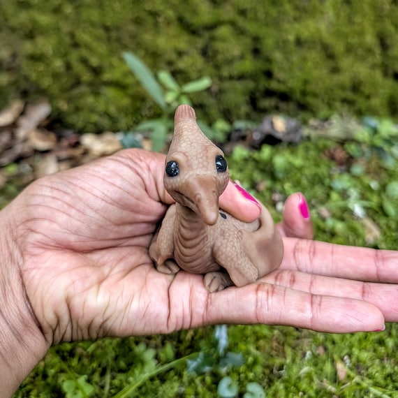 Dino Pteri