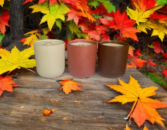 3 votive set, soy coconut candles, fall scents