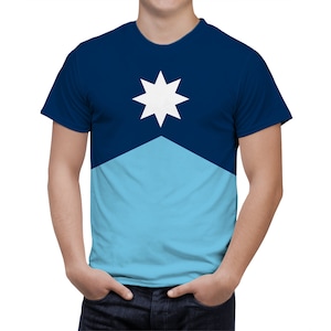 New Minnesota Flag Men T Shirt, Patriotic American Tee, USA Flag Shirt, Coat of arms Shirt, USA State Flag, Unisex Shirt