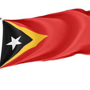 Bandiera di Timor Est: decorazione da giardino e da parete in poliestere resistente ai raggi UV