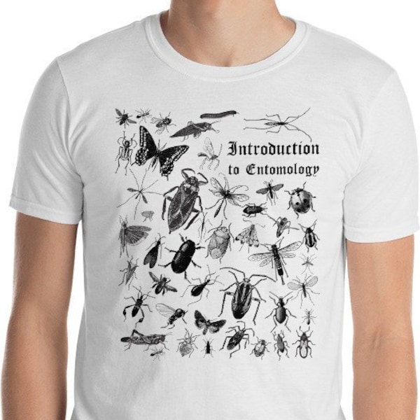 An Introduction to Entomology Insect T-Shirt