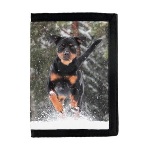 Cartera con Perros, Schipperke, Spaniel Tibetano, Keeshond, Whippet, Collie Barbudo, Gran Danés, Boxer, Shih Tzu/ Disponible con Todo Tipo de Perros