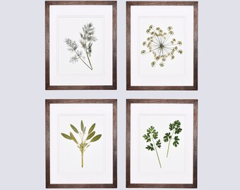 pressed herb art etsy