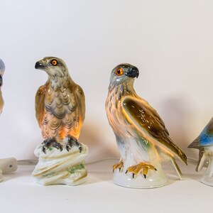 May include: Four porcelain bird figurines with light-up bases. The birds are a blue and brown parrot, a brown hawk, a brown and white hawk, and a green and blue parrot.