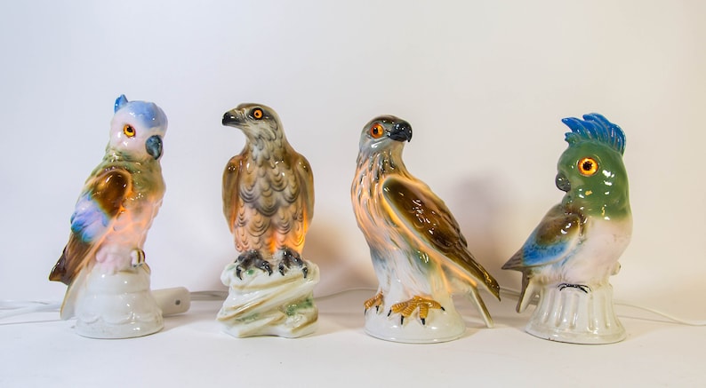 May include: Four porcelain bird figurines with light-up bases. The birds are a blue and brown parrot, a brown hawk, a brown and white hawk, and a green and blue parrot.