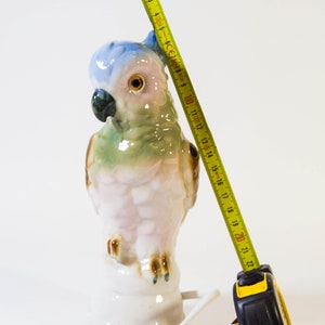 May include: A porcelain parrot figurine with blue, green, and pink painted details, standing on a white base. A yellow measuring tape is next to the figurine, measuring approximately 20 inches.