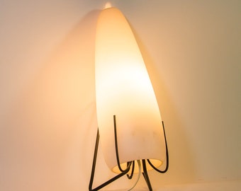Midcentury wall sconce | Louis Kalff for PHILIPS | vintage 50&#39;s | Wireframe wall lamp | Milky glass