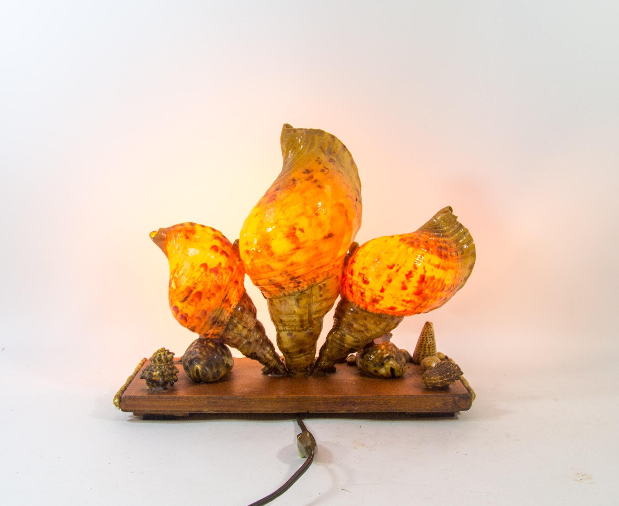 Cameo shell lamp - Etsy 日本