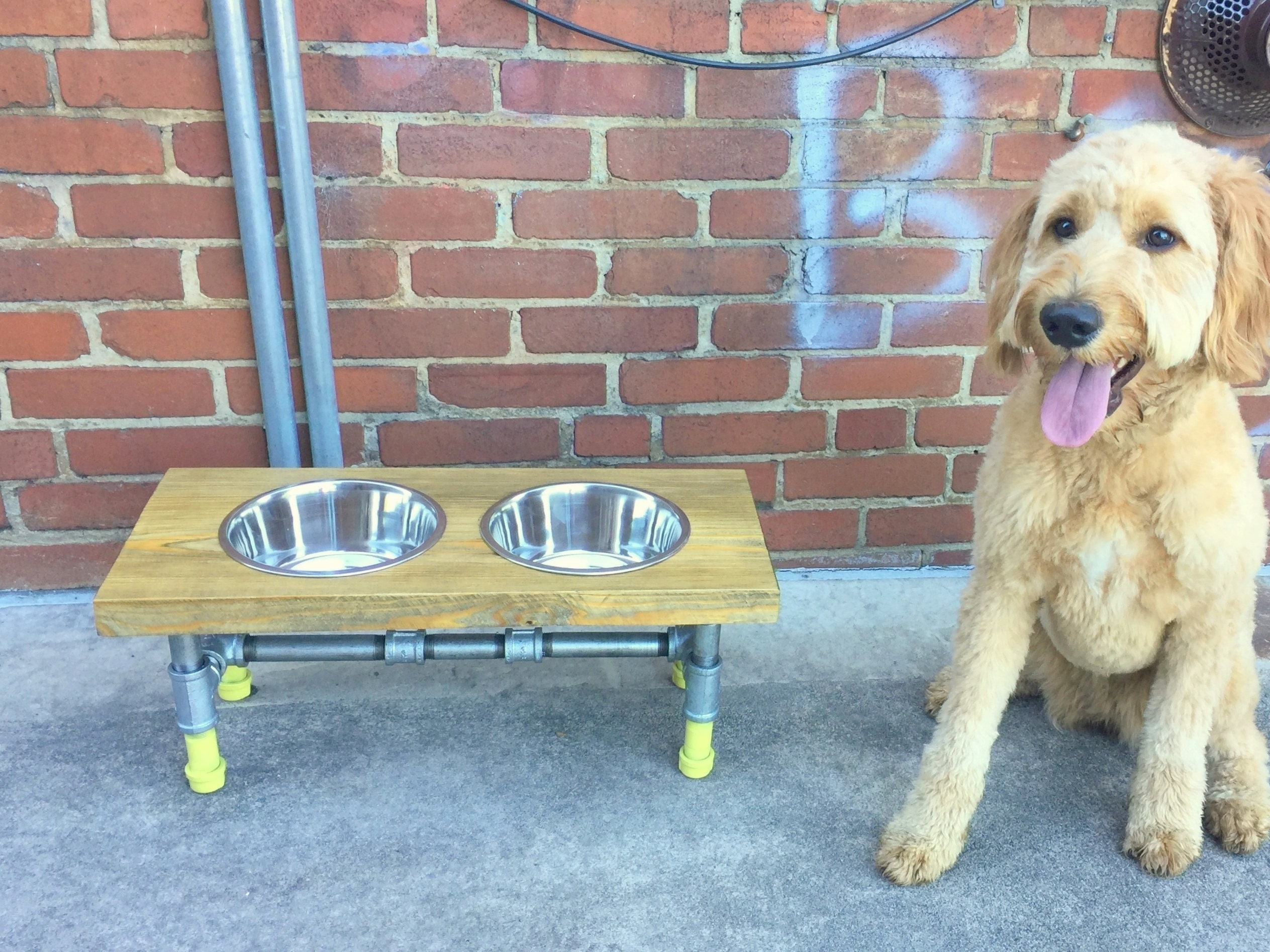 Modern Dog Feeder Dog Furniture Raise Dog Feeder Industrial Etsy