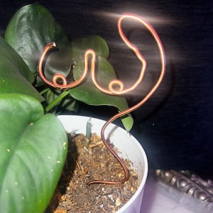Peut inclure: Un tuteur de plante en fil de cuivre en forme de corps féminin. La sculpture est placée dans un pot blanc avec de la terre et des feuilles vertes. Le fil est plié pour créer la forme des seins et d'un torse.