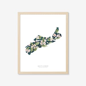 Nova Scotia Blumen | Kunstdruck, Kanada, Provinz, Stadt Kunst, Provinz Blume, Zustand Blume