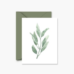 Biglietto di auguri con erba salvia / biglietto vuoto