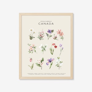 Offical Flowers of Canada - Light | Art Print, Canada, Province, City Art, Provincial Flower, State Flower