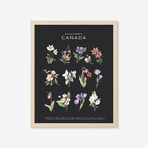 Offical Flowers of Canada - Dark | Art Print, Canada, Province, City Art, Provincial Flower, State Flower