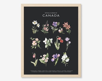 Offical Flowers of Canada - Dark | Art Print, Canada, Province, City Art, Provincial Flower, State Flower