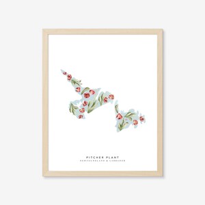 Neufundland und Labrador Kannenpflanze | Kunstdruck, Kanada, Provinz, Stadt Kunst, Provinz Blume, Zustand Blume