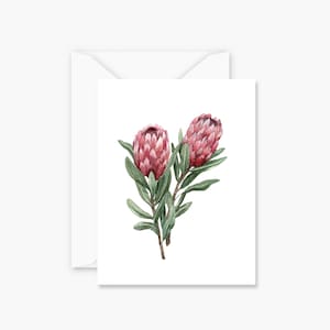 Tarjeta de felicitación Protea / Tarjeta en blanco