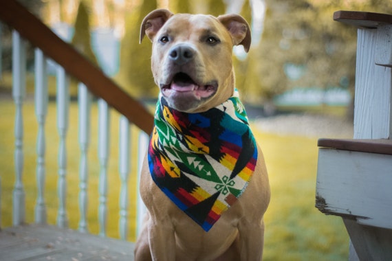pendleton dog bandana