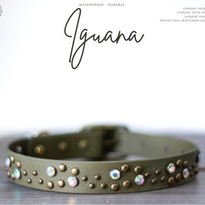 Iguana - 1" Gemstone Crystal Rhinestone Collar - Bling Waterproof Biothane Durable Dog Collar - Mess Mud Stink Resistant Vegan Leather