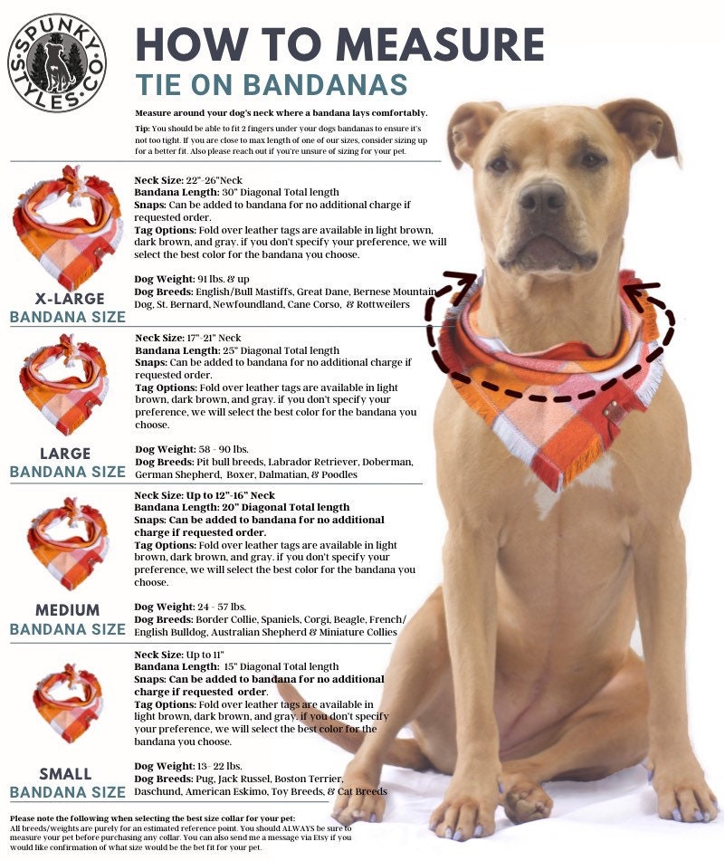 how to tie bandana on dog