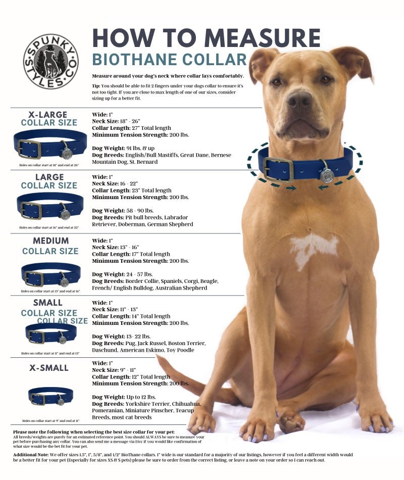 Dog collar medium size sales