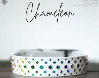 Chamäleon - 1,5 ""Edelstein Kristall Hochleistungshalsband - Bling wasserdichtes, langlebiges Biothane-Hundehalsband - Schlamm-, geruchsbeständiges, veganes Leder."