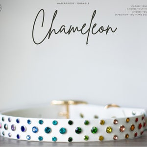 Chameleon - 1" Gemstone Crystal Rhinestone Collar - Bling Waterproof Biothane Durable Dog Collar - Mess Mud Stink Resistant Vegan Leather