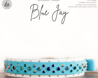 Blue Jay - 1"/1.5” Two Tone Rhinestone Crystal Heavy Duty Collar - Bling Waterproof Biothane Durable Dog Collar - Mess Mud Stink Resistant