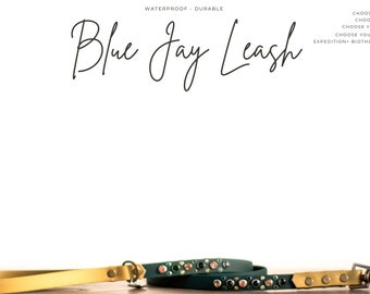 Blue Jay Leash- 5/8” Rhinestone Waterproof Biothane Durable Dog Leash Multicolor -Mess Resistant Mud Resistant Stink Resistant Vegan Leather