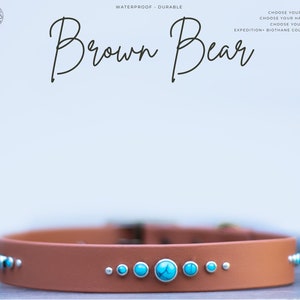 Brown Bear - 1" Gemstone Crystal Rhinestone Collar - Bling Waterproof Biothane Durable Dog Collar - Mess Mud Stink Resistant Vegan Leather