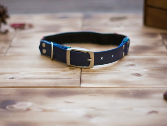 pendleton dog collar