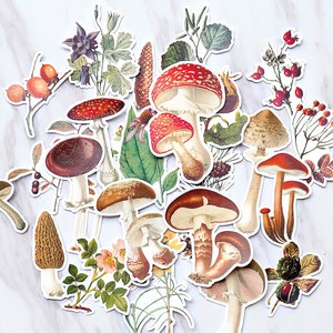 cute Mushroom stickers set/  Vegetables Planner Stickers/ Filofax Stickers/radish stickers /plant stickers/tree stickers
