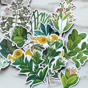 Flower Garden stickers/beautiful flowers stickers/plants and flowers stickers/  Planner Stickers/ Filofax Stickers