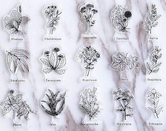 Flower Plant Names transparent Stamp, Planner Stamp, pen stamp, cute stamp, kawaii stamp, Rubber transparent clear stamp