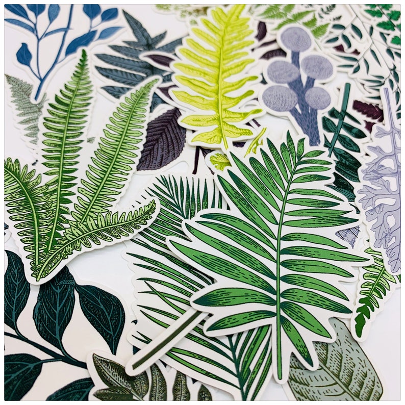 Puede incluir: Una colecci&oacute;n de pegatinas de hojas verdes, azules y amarillas. Las pegatinas presentan varios tipos de hojas, incluyendo helechos, hojas de palma y otros follajes. Las pegatinas son perfectas para agregar un toque de naturaleza a diarios, planificadores y otros proyectos de manualidades.