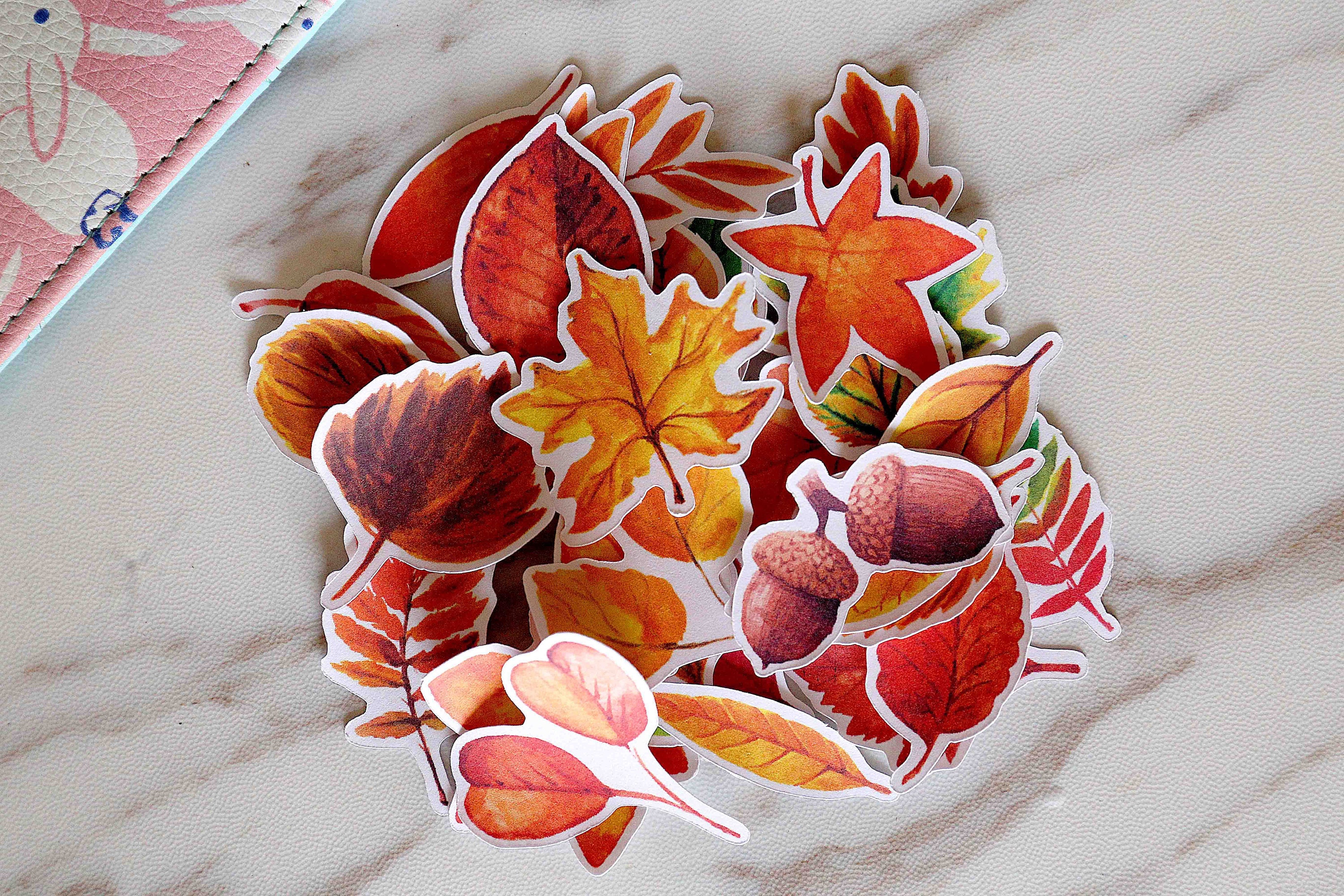 Maple leaves stickers/Autumn leaves stickers / Planner Etsy