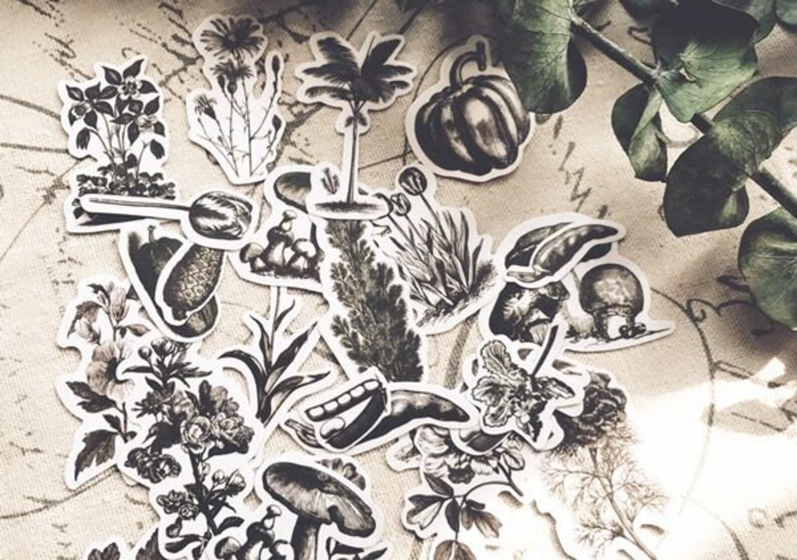 24pcs Black and White Flower Stickers / Plant Labeling Sticker Etsy