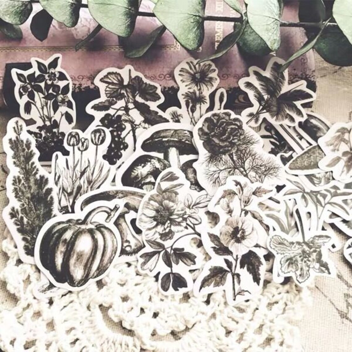 24pcs Black and White Flower Stickers / Plant Labeling Sticker - Etsy