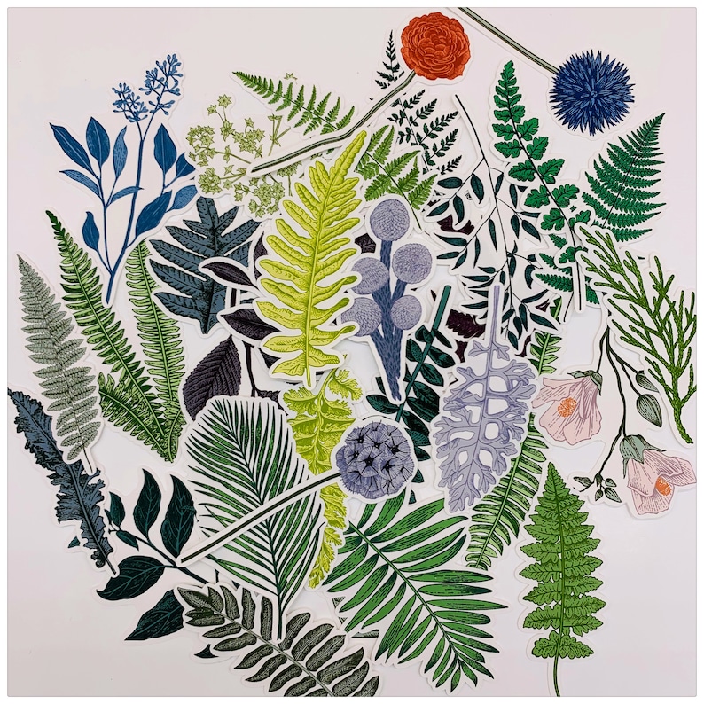 Puede incluir: Una colecci&oacute;n de ilustraciones bot&aacute;nicas coloridas que presentan varios tipos de helechos, hojas y flores. Las ilustraciones est&aacute;n impresas en papel blanco y son perfectas para scrapbooking, creaci&oacute;n de tarjetas u otros proyectos de manualidades.