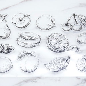 Fruits rubber clear Stamp/ Illustration Stamp/ Herbs transparent Stamp/  Food clear Stamp/ Orange transparent Stamp/ Lemon clear Stamp
