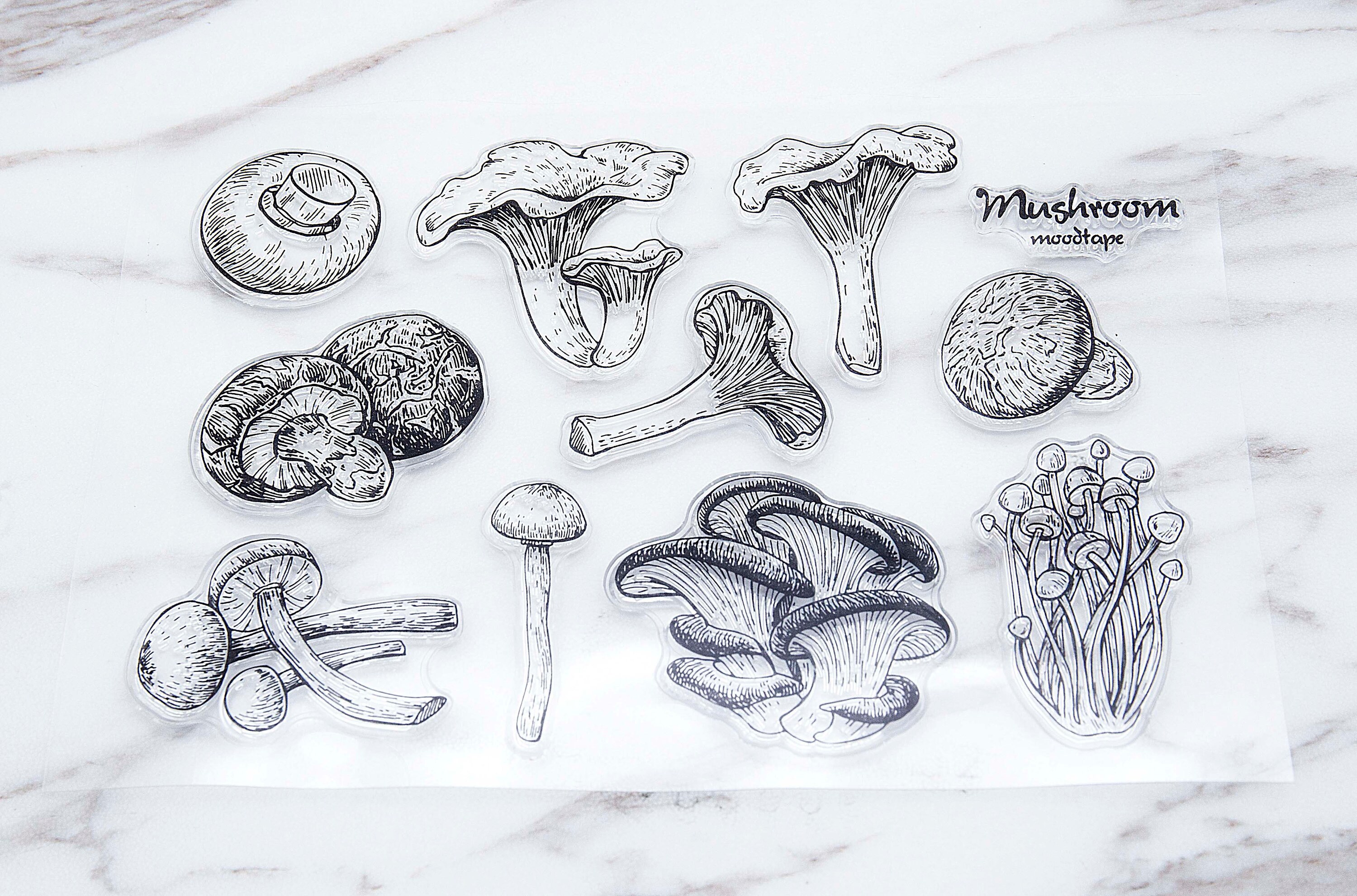 Mushroom Clear Stamp/mushroom Clear Transparent Stamp/fungi - Etsy