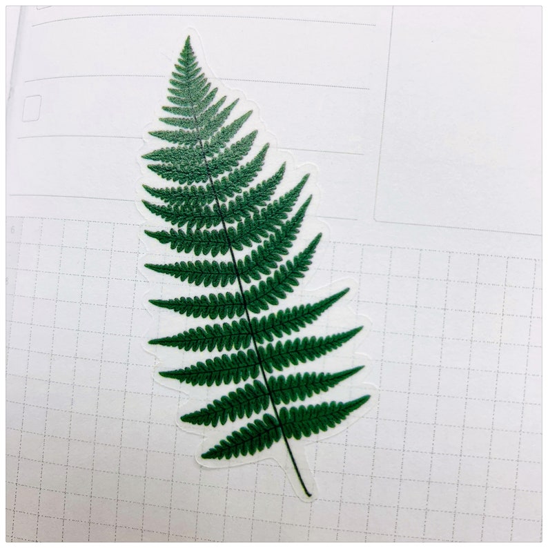 Puede incluir: Una pegatina de hoja de helecho verde con fondo transparente. La pegatina es perfecta para a&ntilde;adir un toque de naturaleza a tu agenda, diario o &aacute;lbum de recortes.