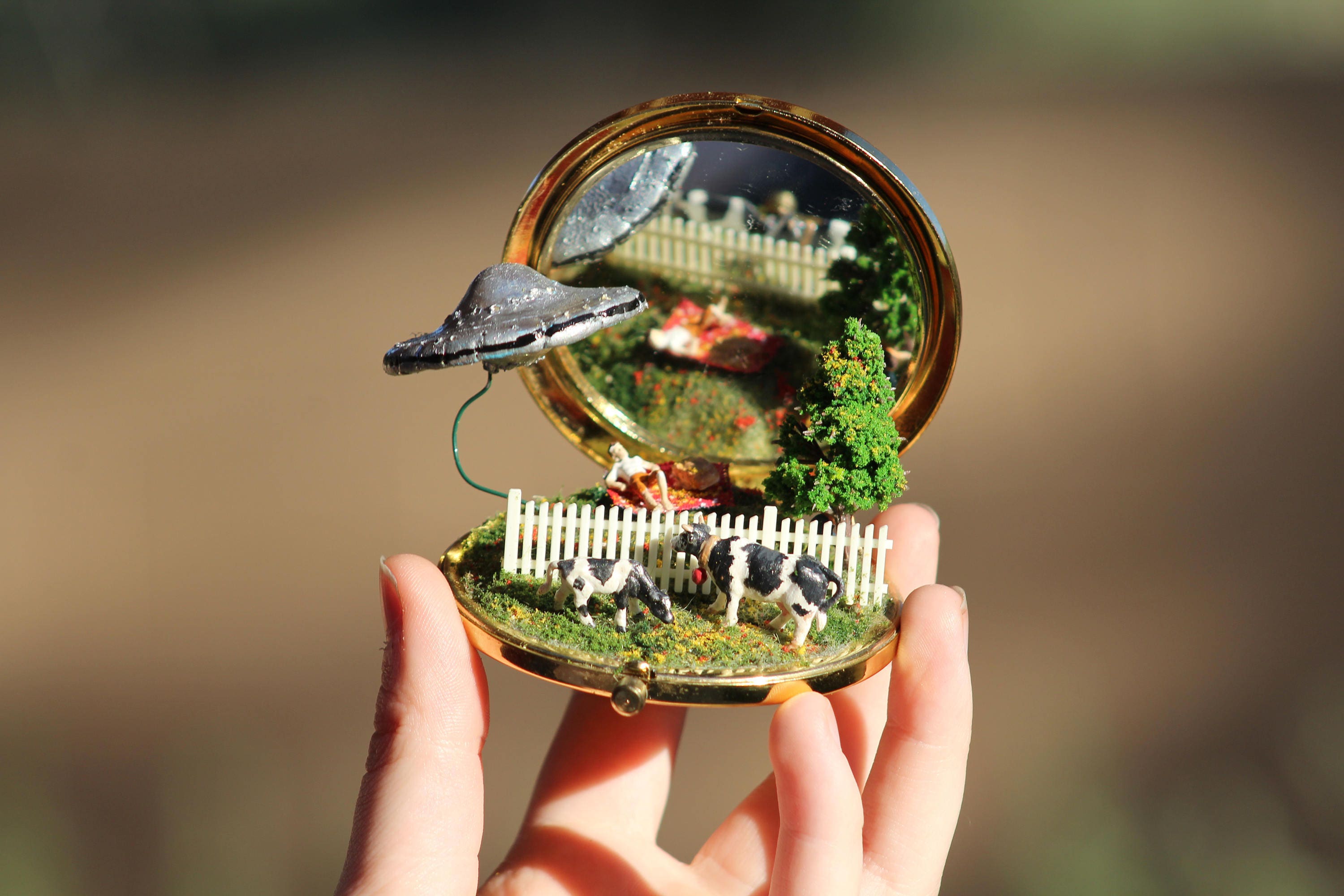 Diorama small deals