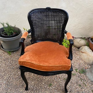 Vintage Pair of Black French Arm Chairs with Caned Seat and Backs