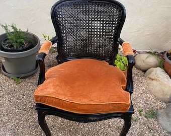 Vintage Pair of Black French Arm Chairs with Caned Seat and Backs