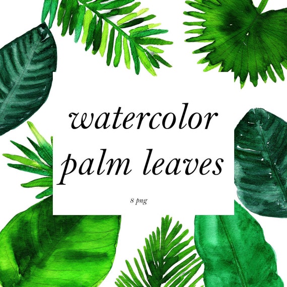 Palm Leaves Clipart Watercolor Clipart Banana Leaf Clipart Etsy